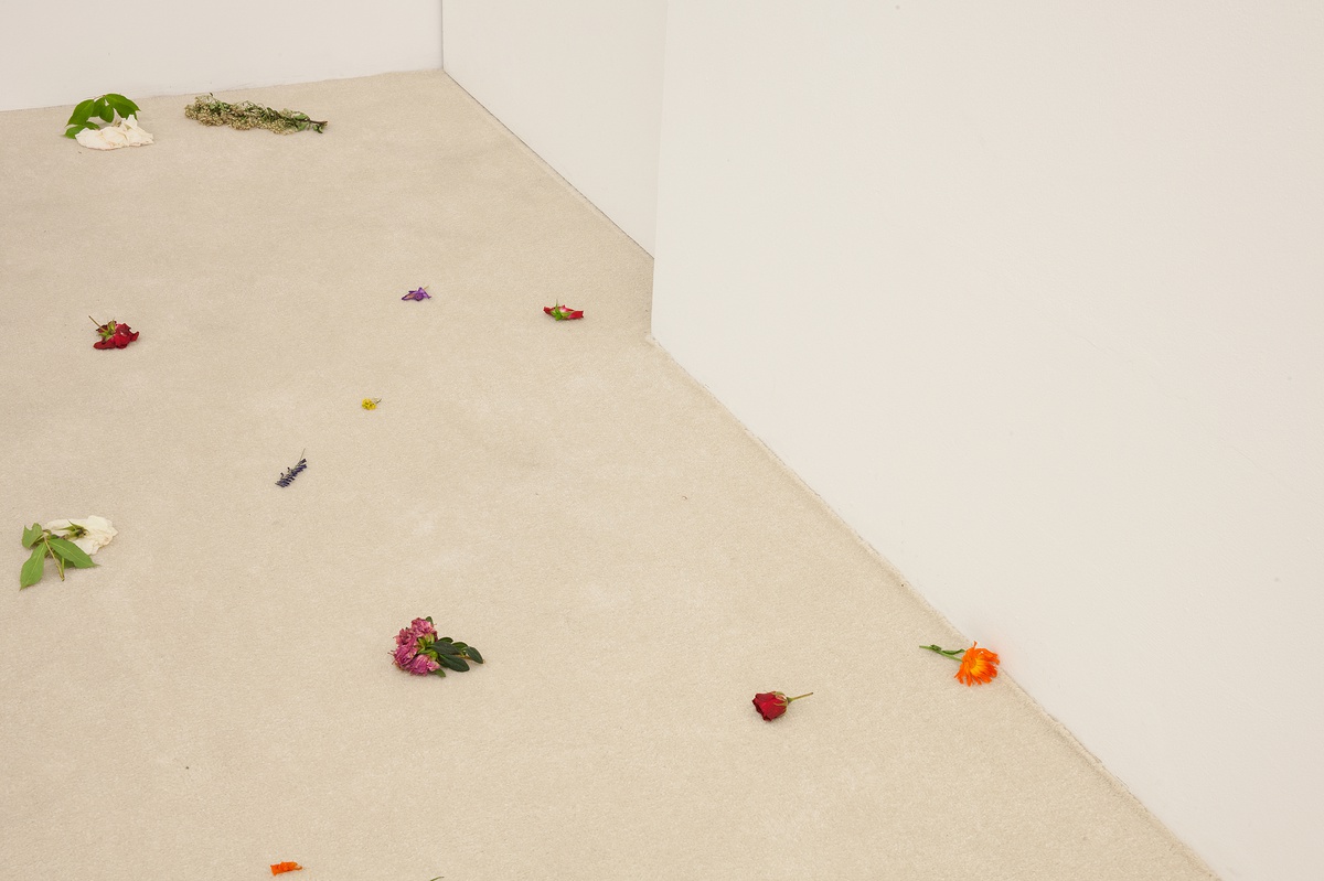 Angharad Williams, Nobody wins, 2020stolen flowersvarious dimensions
